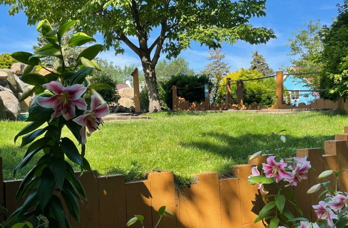 Dutch Village Adventure Park - From Website (newer photo)